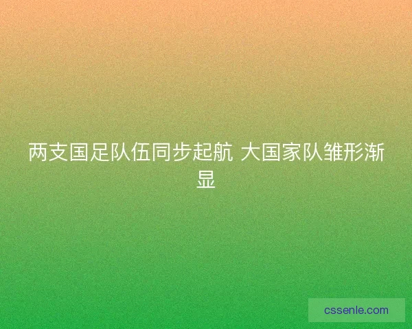 两支国足队伍同步起航 大国家队雏形渐显 两支国足队伍同步起航 大国家队雏形渐显